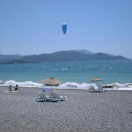 Orka Gold
